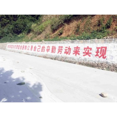 衢州墙体标语多少钱一平方衢州党建标语
