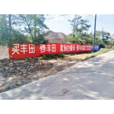 亳州农村墙体广告公司,亳州墙体工笔画广告, 亳州手绘墙