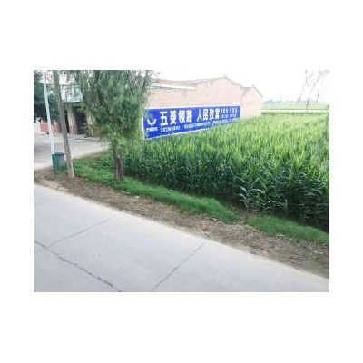 廊坊墙面广告,家具墙体广告,廊坊农村墙体广告公司