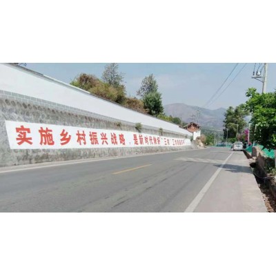 阜阳驾校墙体广告, 阜阳手刷墙体广告哪家做的好