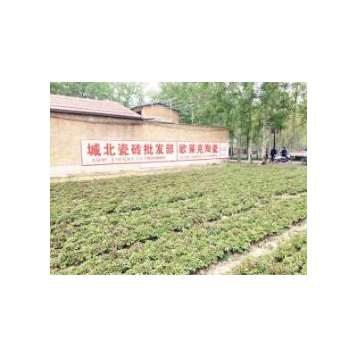 石家庄乡镇墙绘广告好处有哪些,  石家庄超市墙体广告