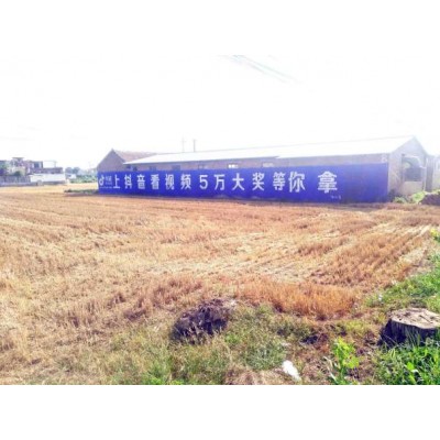 深圳墙体广告哪家靠谱,  深圳墙体写标语大字
