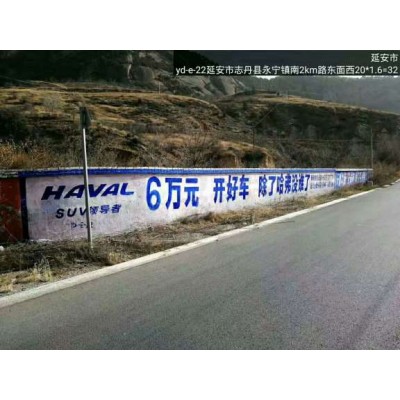 佛山农村刷墙广告  佛山教育机构墙体广告展示图