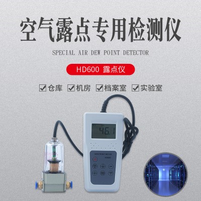 便携式压缩管道气体露点仪HD600  露点温湿度表