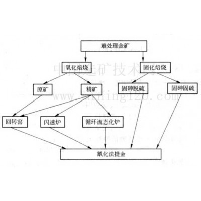 巩义铂思特从金矿中提取金子的方法，金矿炭浸法提金，选金混汞碾