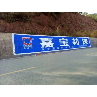广西刷墙广告价格广西农村发展标语