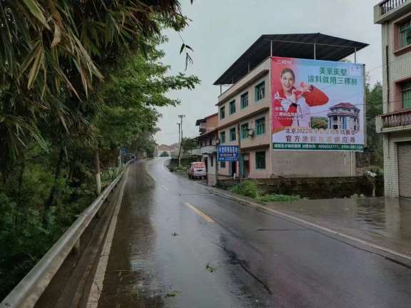 鹤壁乡镇墙体广告成本低廉 手绘墙画靓丽的色彩