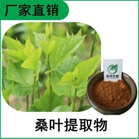 森冉生物 桑叶提取物 冬桑叶提取物 植物提取原料粉