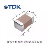 TDK CKG57NX7R2A106MT009W 高容贴片电容 金属支架 100V X7R 10UF 20%