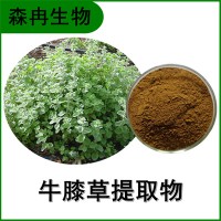 森冉生物 牛膝草提取物 柳薄荷提取物 植物提取原料粉